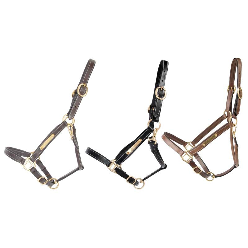 Lederhalfter mit Platte