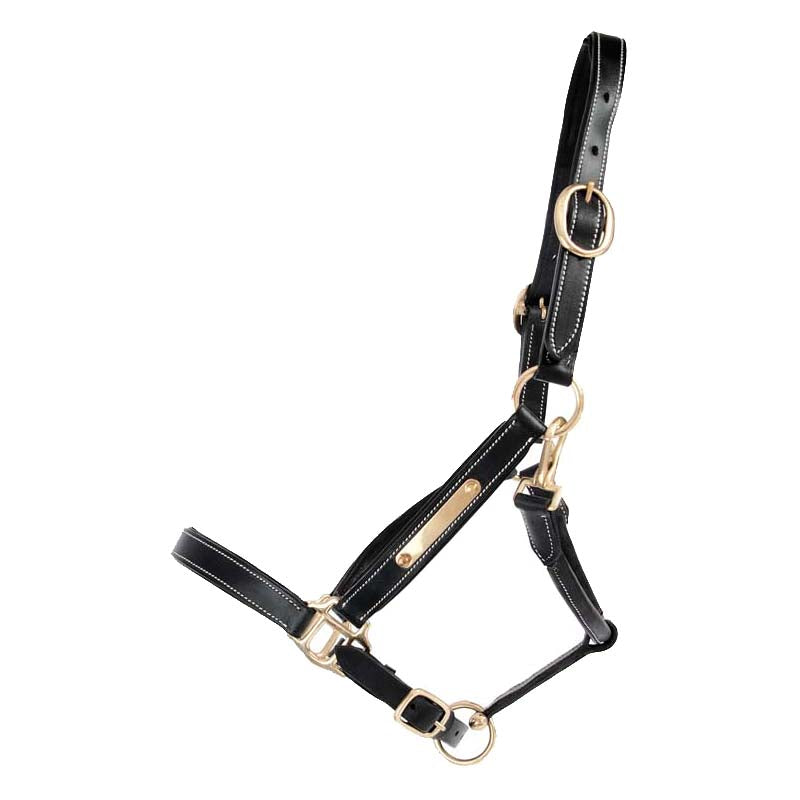 Lederhalfter mit Platte