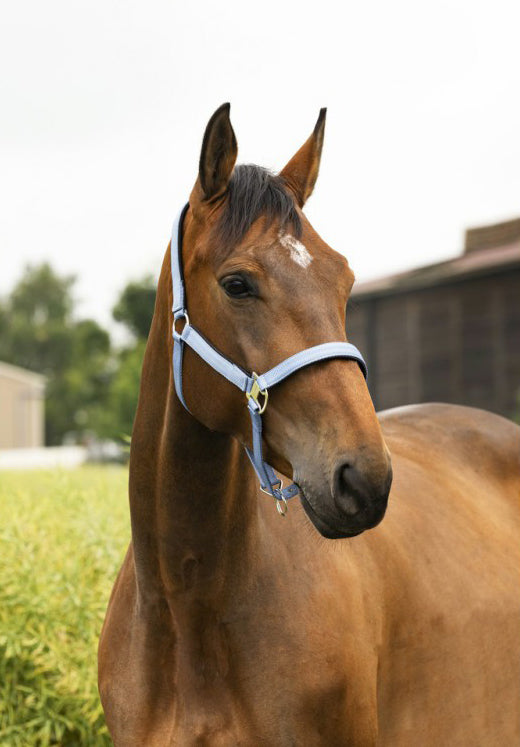 Equitheme Air Halter
