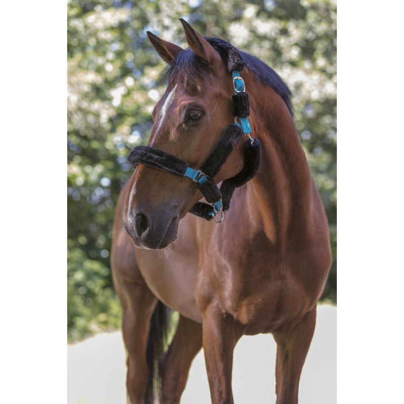 Norton Full Sheepskin Synthetic Halter