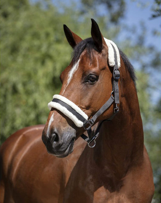 Norton Halfter aus synthetischem Schaffell