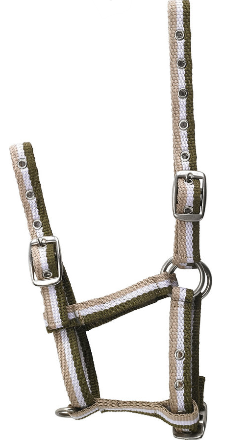 Verstellbares Halfter für Fohlen, Mini, kleine Esel oder Lamas