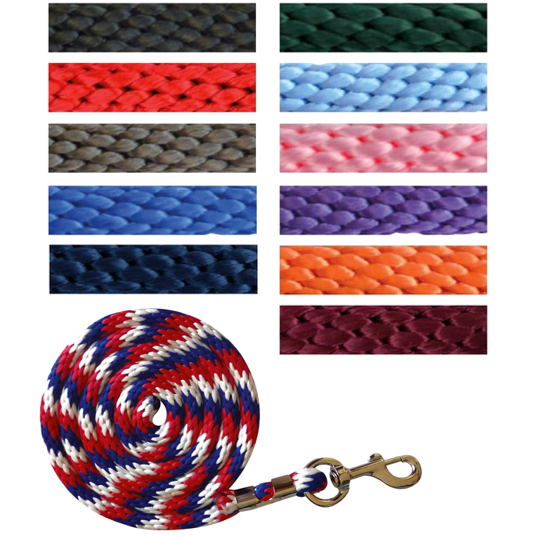 NORTON Bright Haltegurt