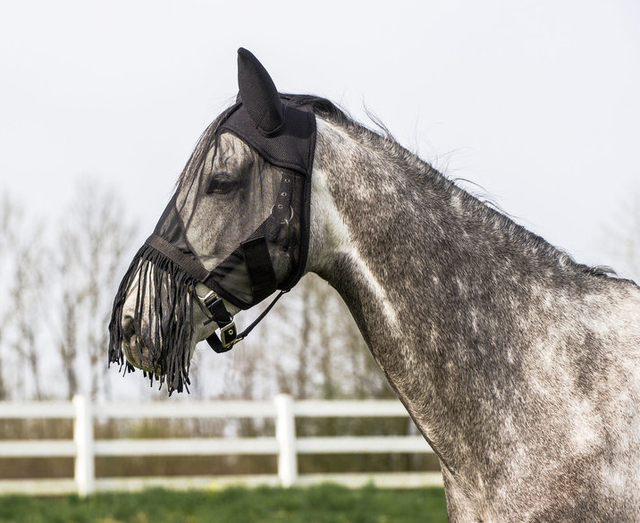 Riding World Leichte Fliegenmaske mit Fransen