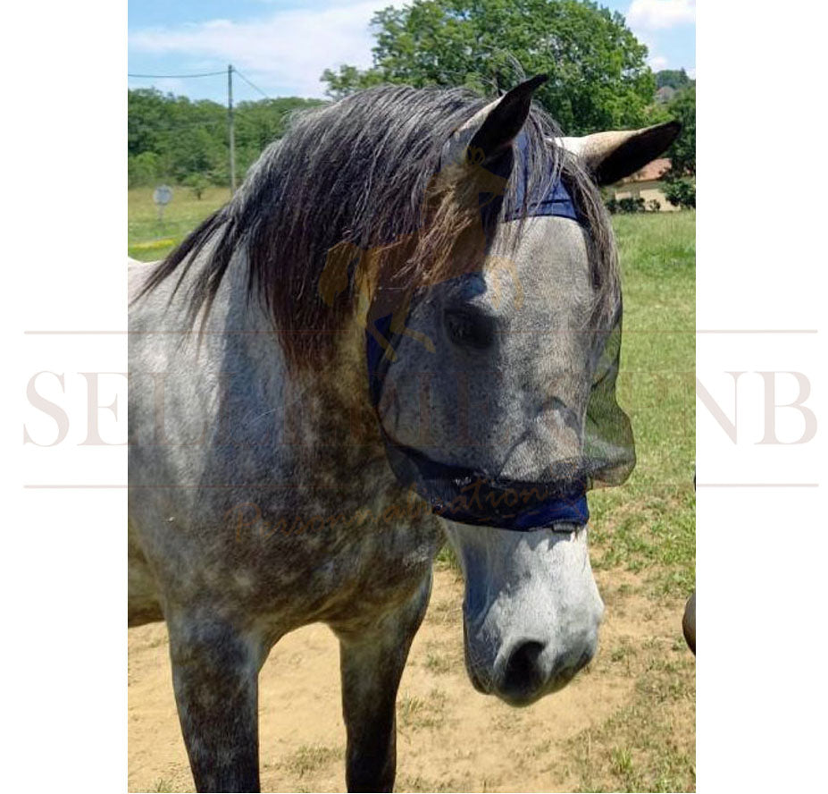 Zilco Lycra-Fliegenmaske ohne Ohren