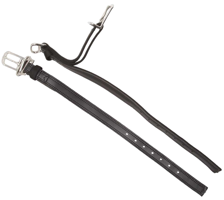 Porte-brancards à dégagement rapide WebZ