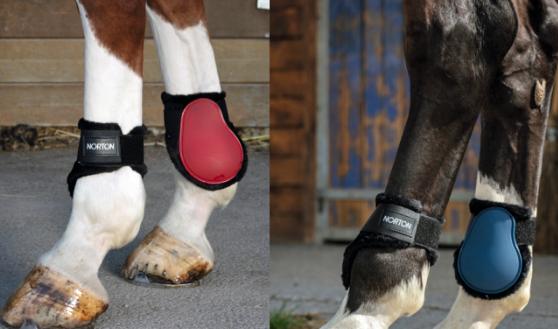 NORTON Fleece fetlock guards