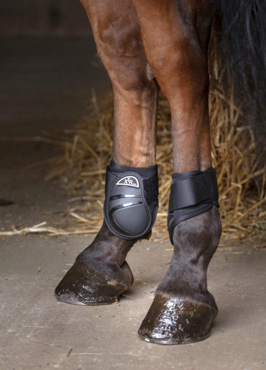 NORTON XTR Fetlock Boots