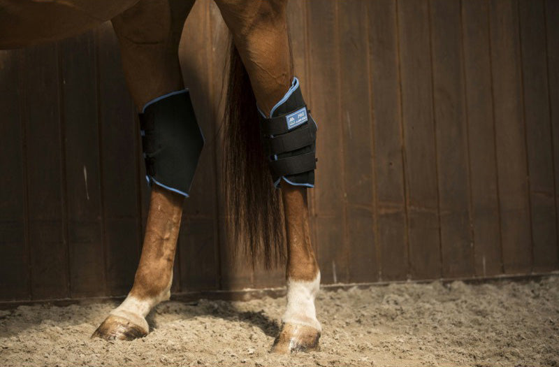 Lami-cell Ice Boots Sprunggelenkschutz