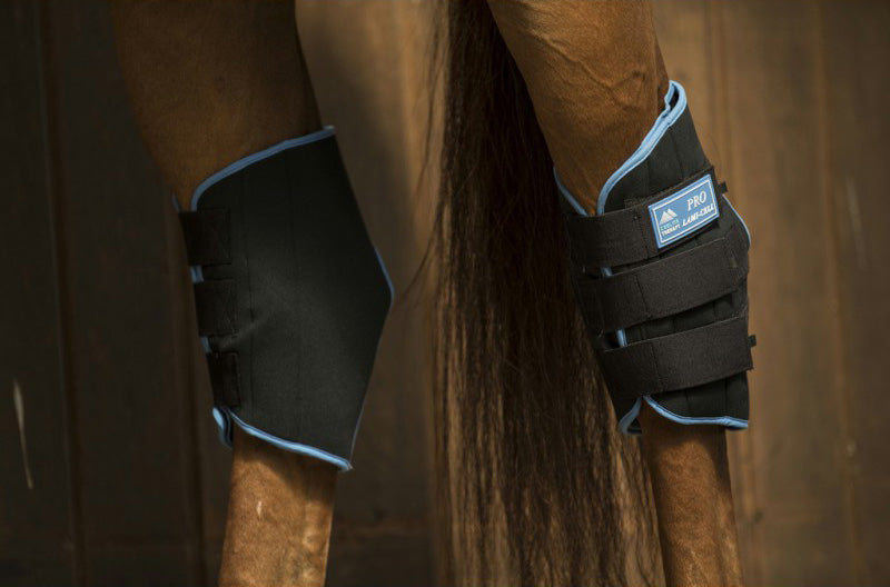 Lami-cell Ice Boots Sprunggelenkschutz