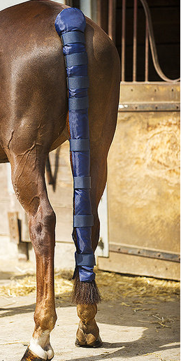 NORTON Tail Guard Lange Daunenjacke