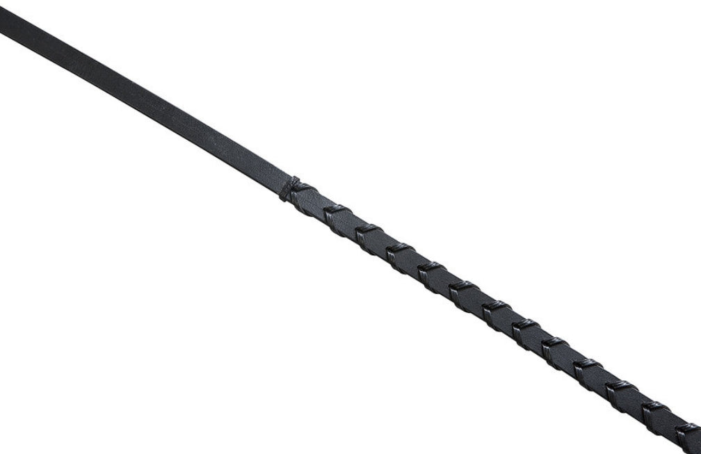 Rênes brédies ERIC THOMAS Pro