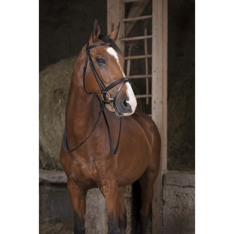 NORTON PRO Gummizügel mit weißen Nähten