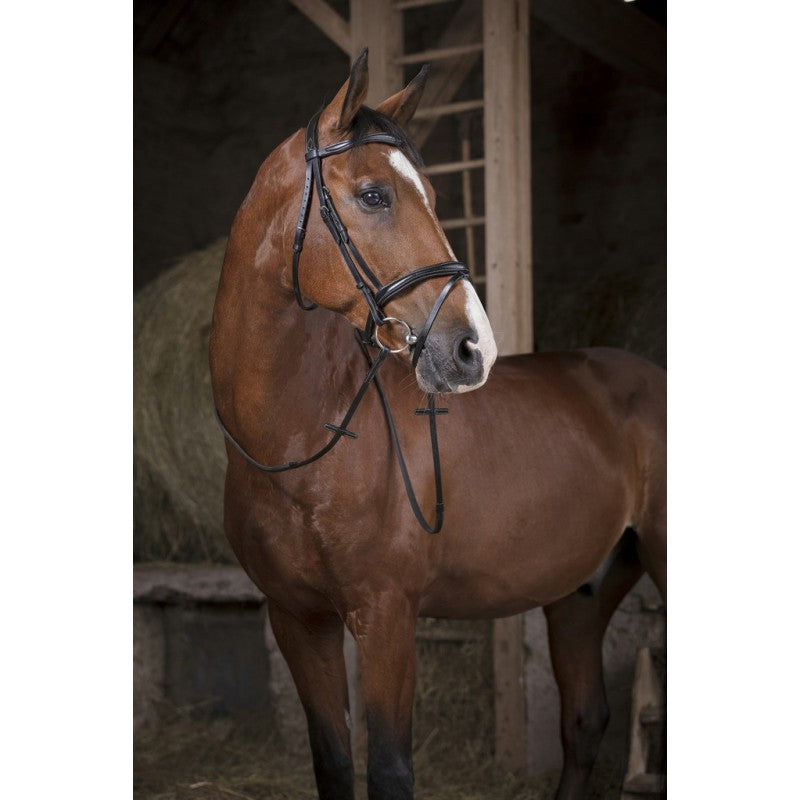 NORTON PRO Gummizügel