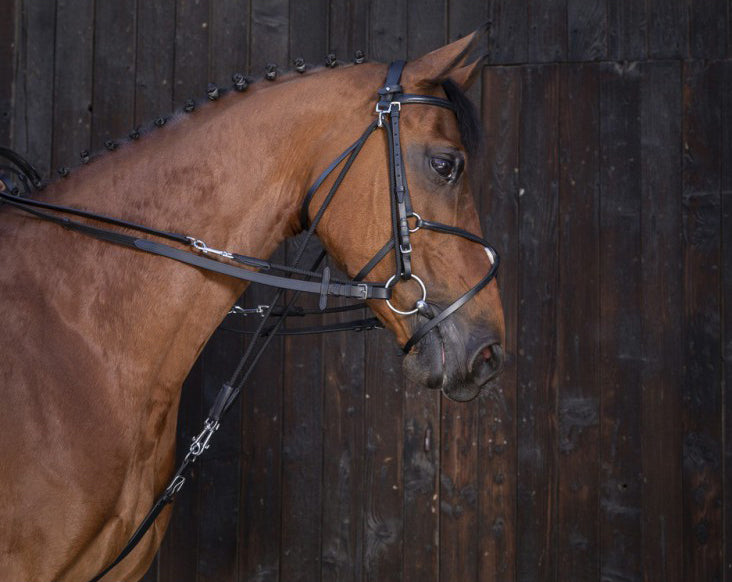 RIDING WORLD leather gogue reins