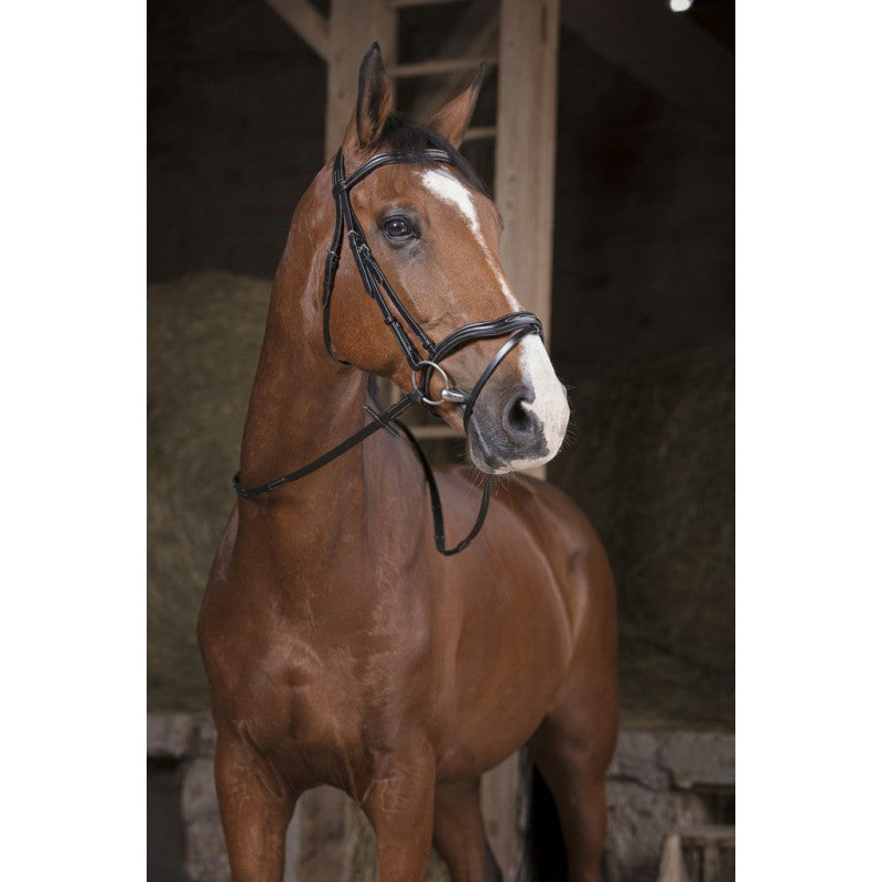 NORTON PRO Supergrip Zügel