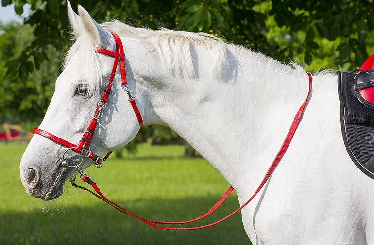 Bridon de randonnée et d'endurance NORTON synthétique
