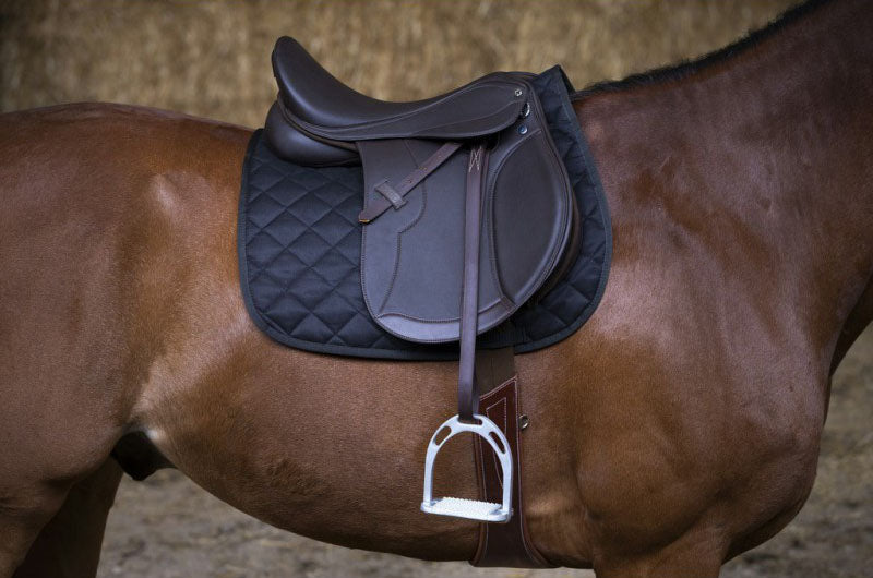 Selle Mixte NORTON Club Rexine Evol