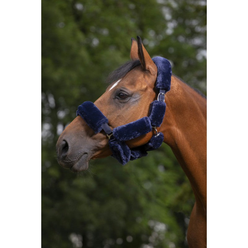 Equitheme Teddy Halter Set