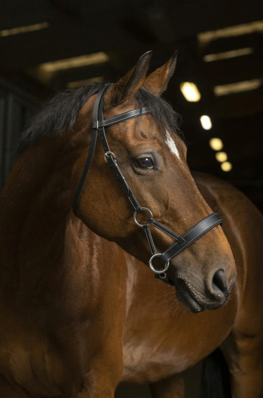 Sidepull Norton Pro Comfort