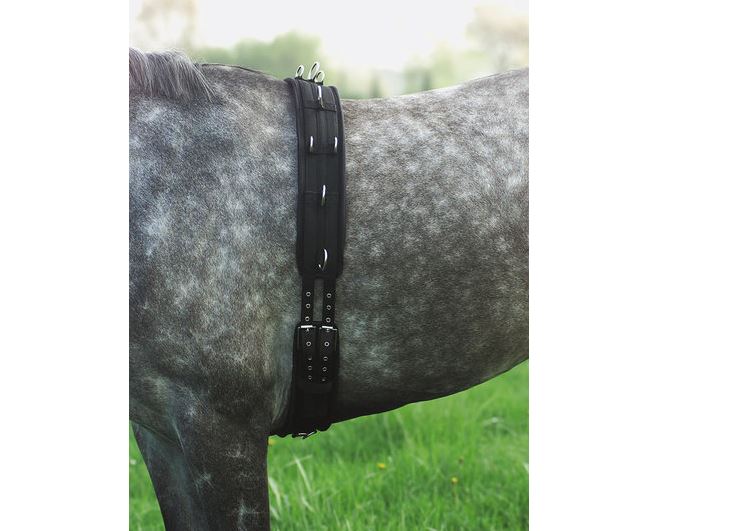 NORTON synthetischer Arbeitsgurt