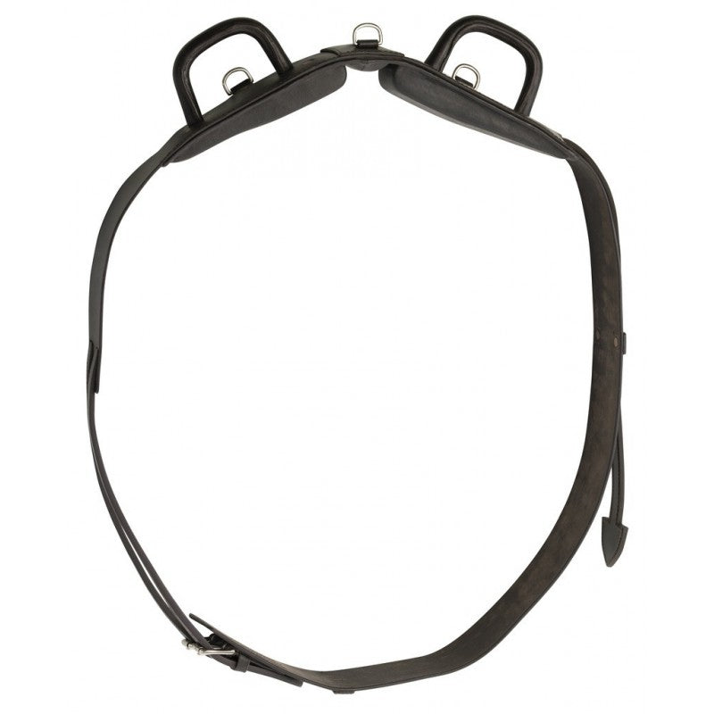 Norton Club Voltigiergurt mit geschlossenem Griff