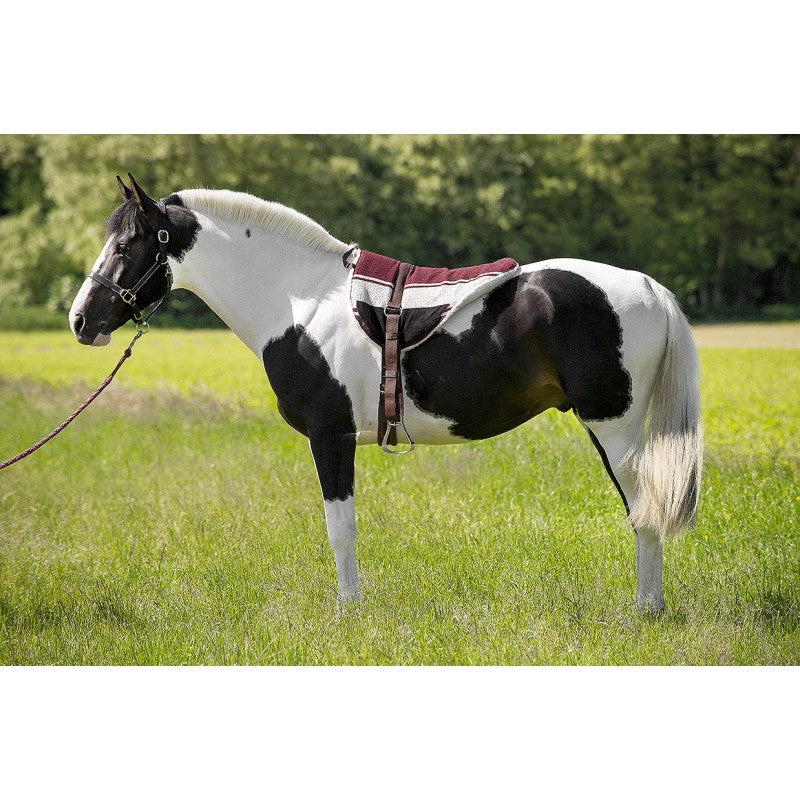 NORTON Bareback-Reitdecke