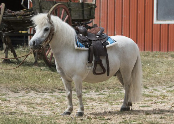 Navajo-Steppteppich mit Esel- und Ponymotiv