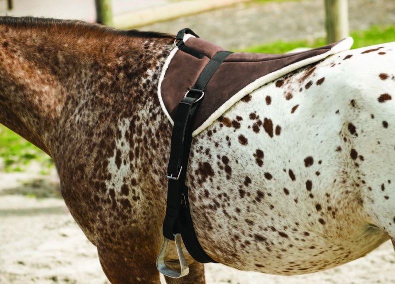 NORTON Weiches Bareback-Reitpad