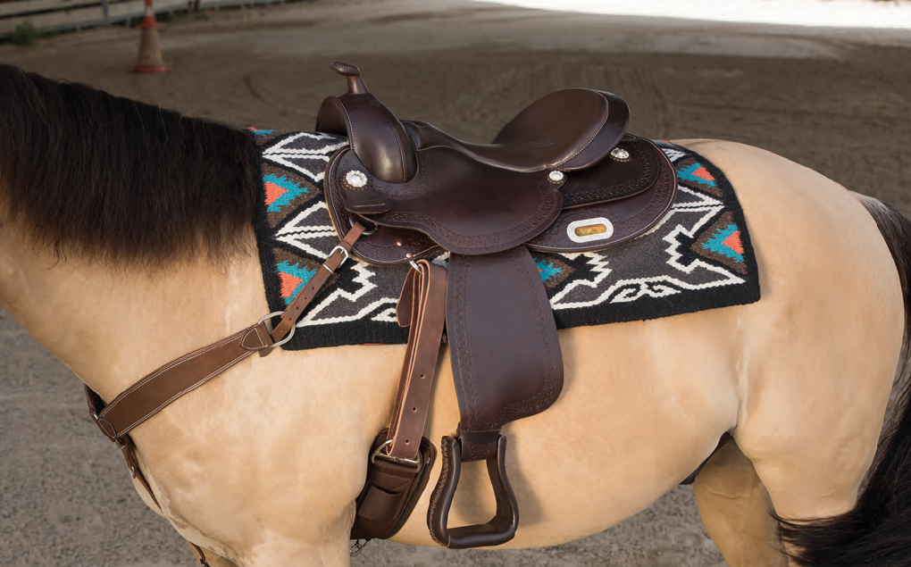 WESTRIDE Sattel von Franck Perret Arvada