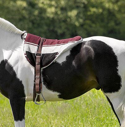 NORTON Bareback-Reitdecke