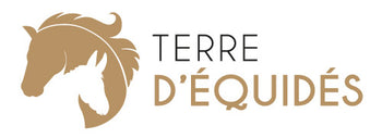 Terre d'Équidés