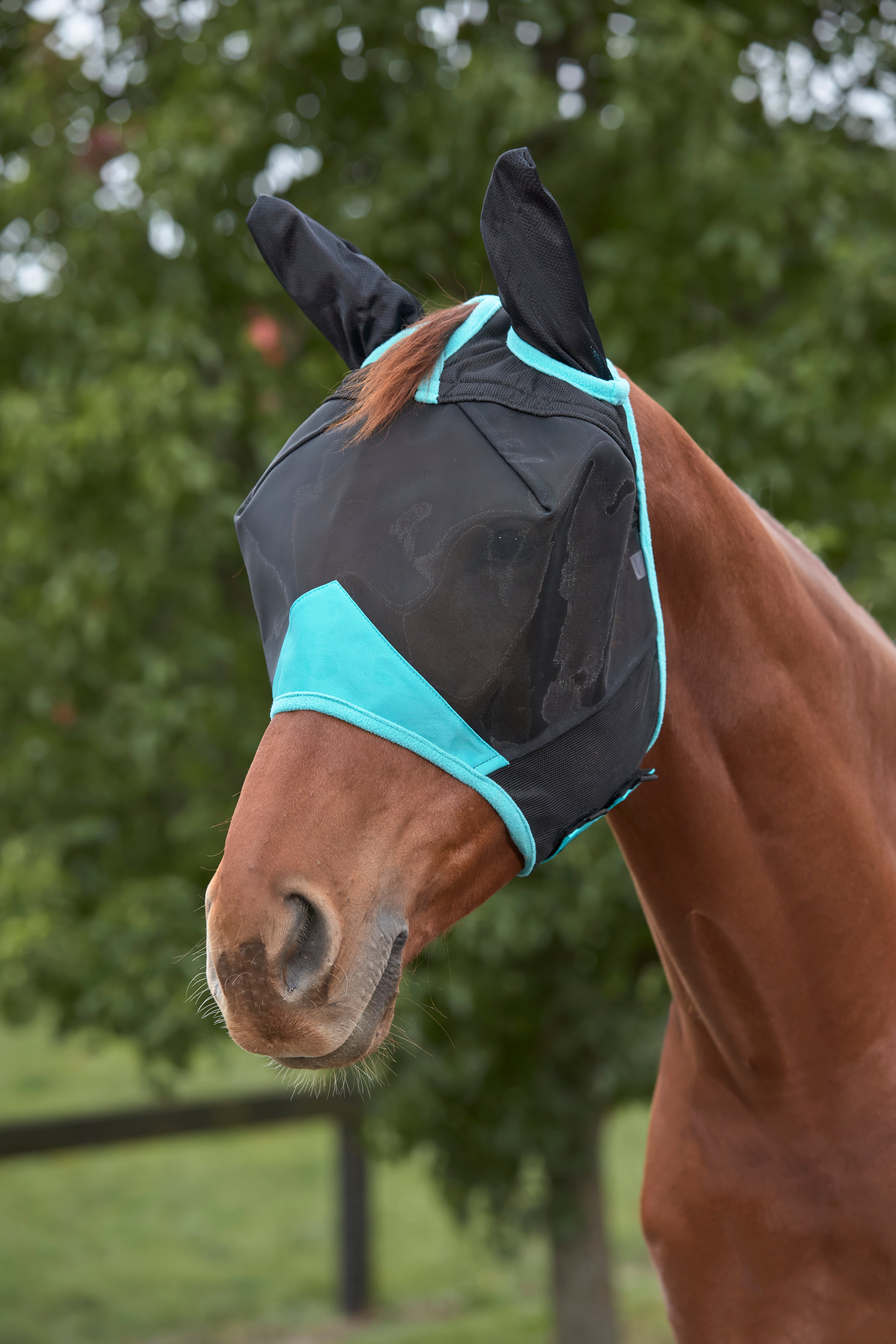 ComFiTec Deluxe Masque à mailles fines sans oreilles
