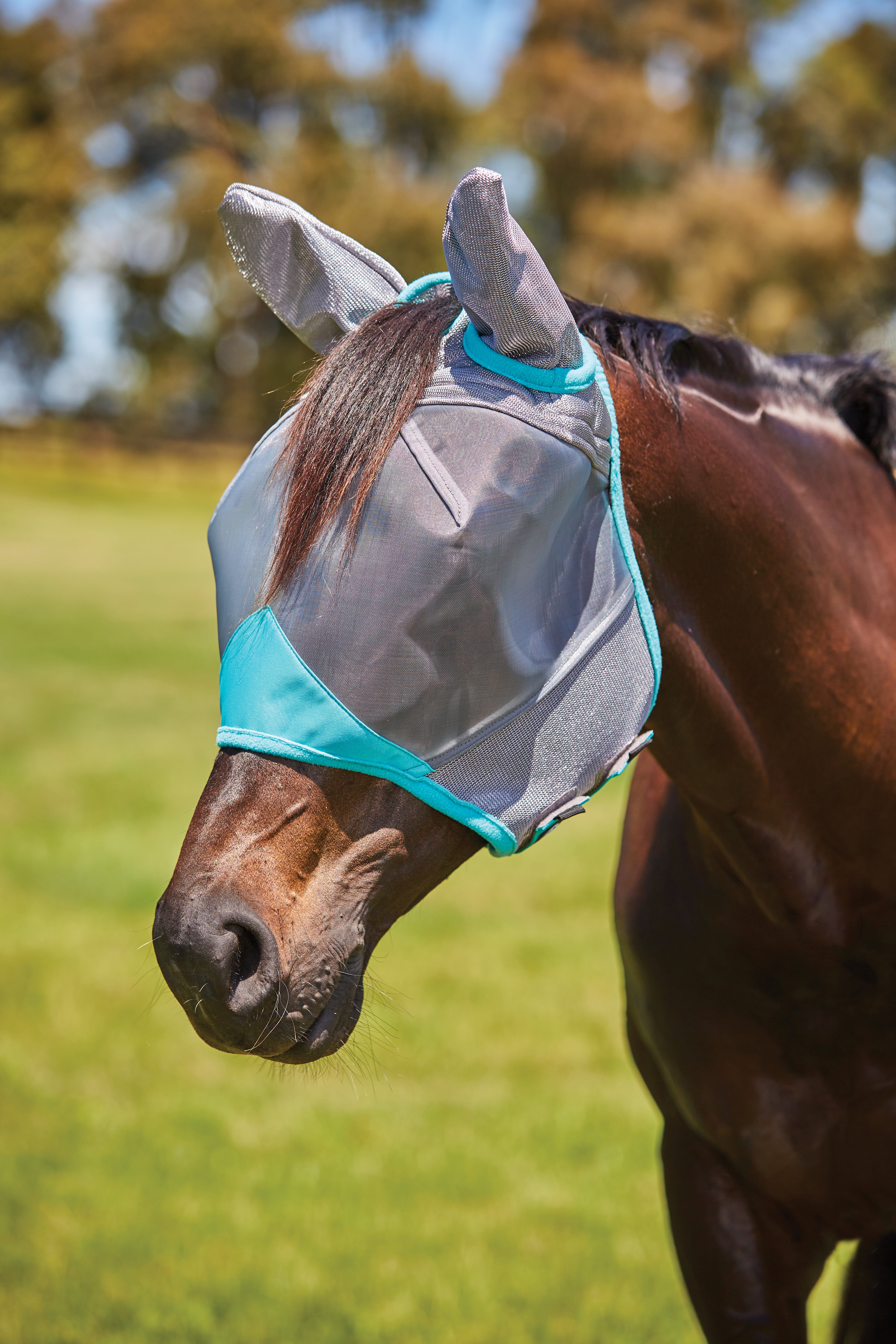ComFiTec Deluxe Masque à mailles fines sans oreilles