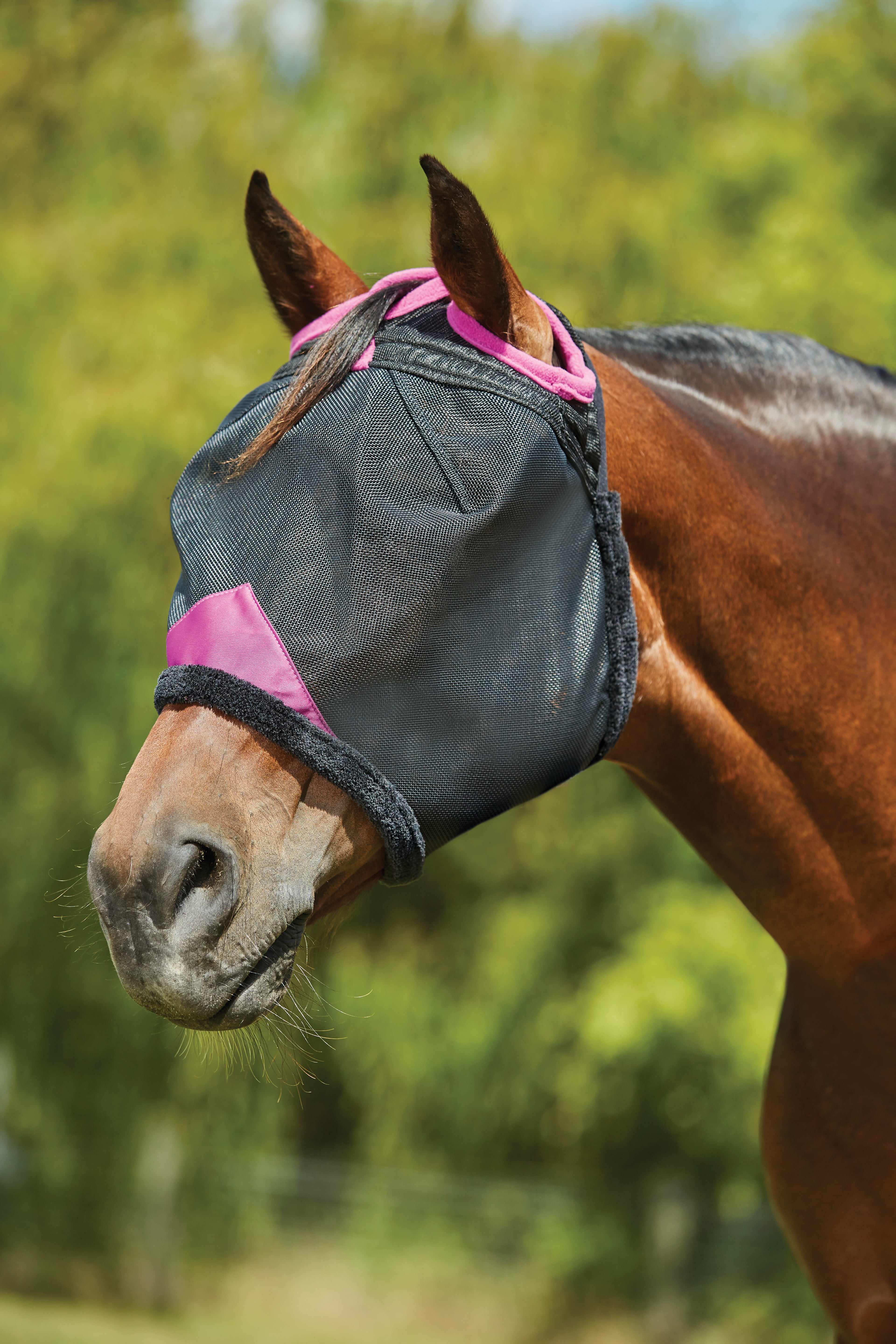 ComFiTec Deluxe Durable masque en mesh
