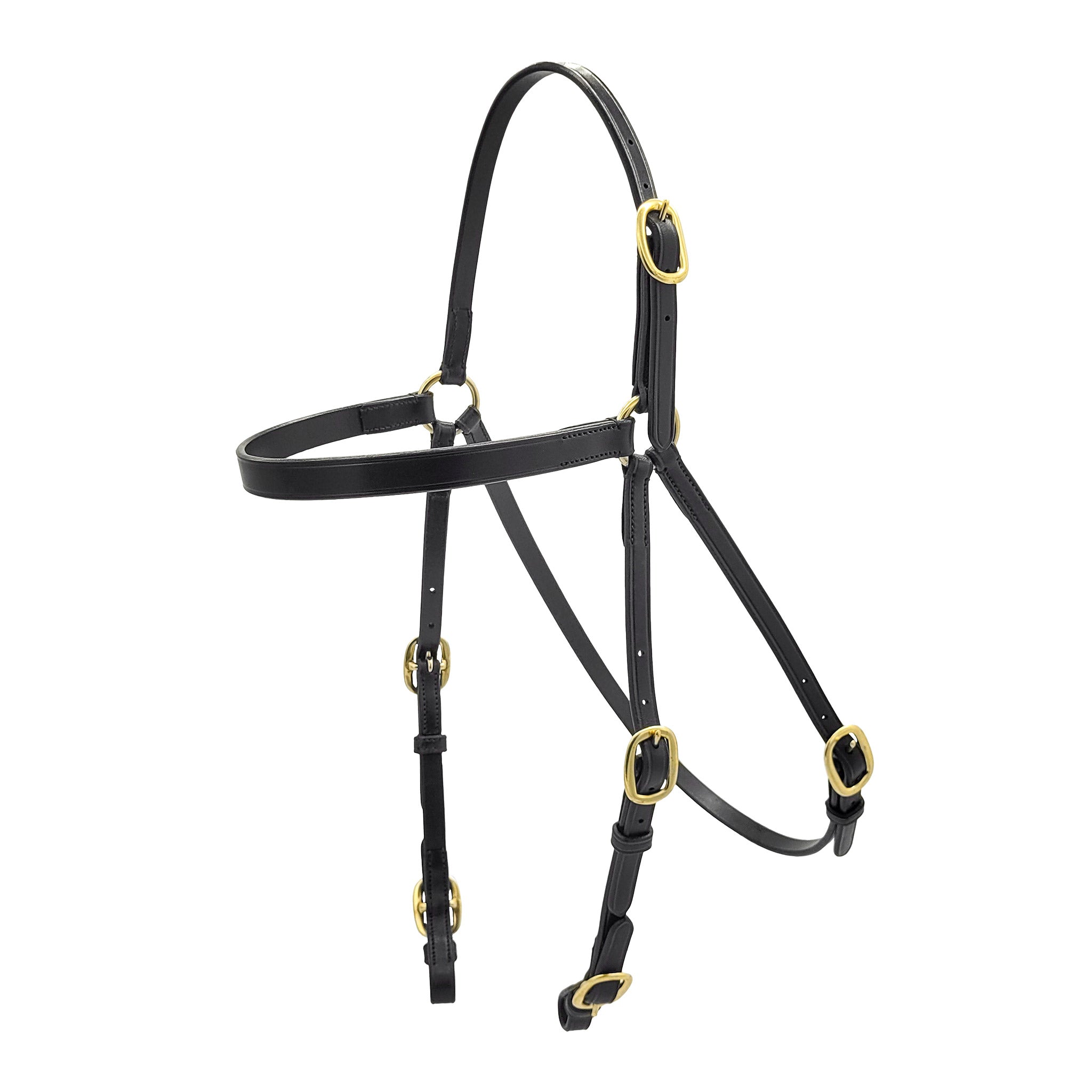 Bridon de course Track Wise – Ring Head