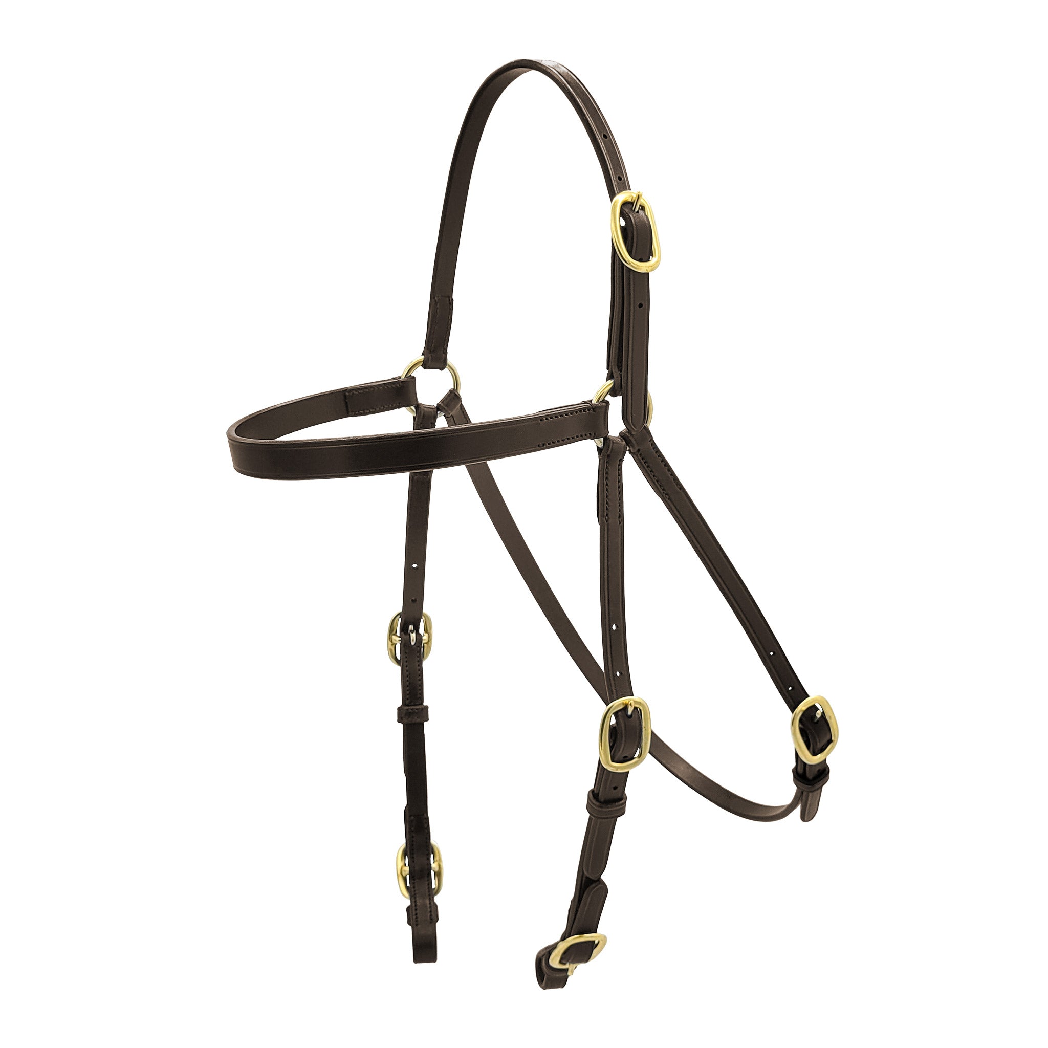 Bridon de course Track Wise – Ring Head