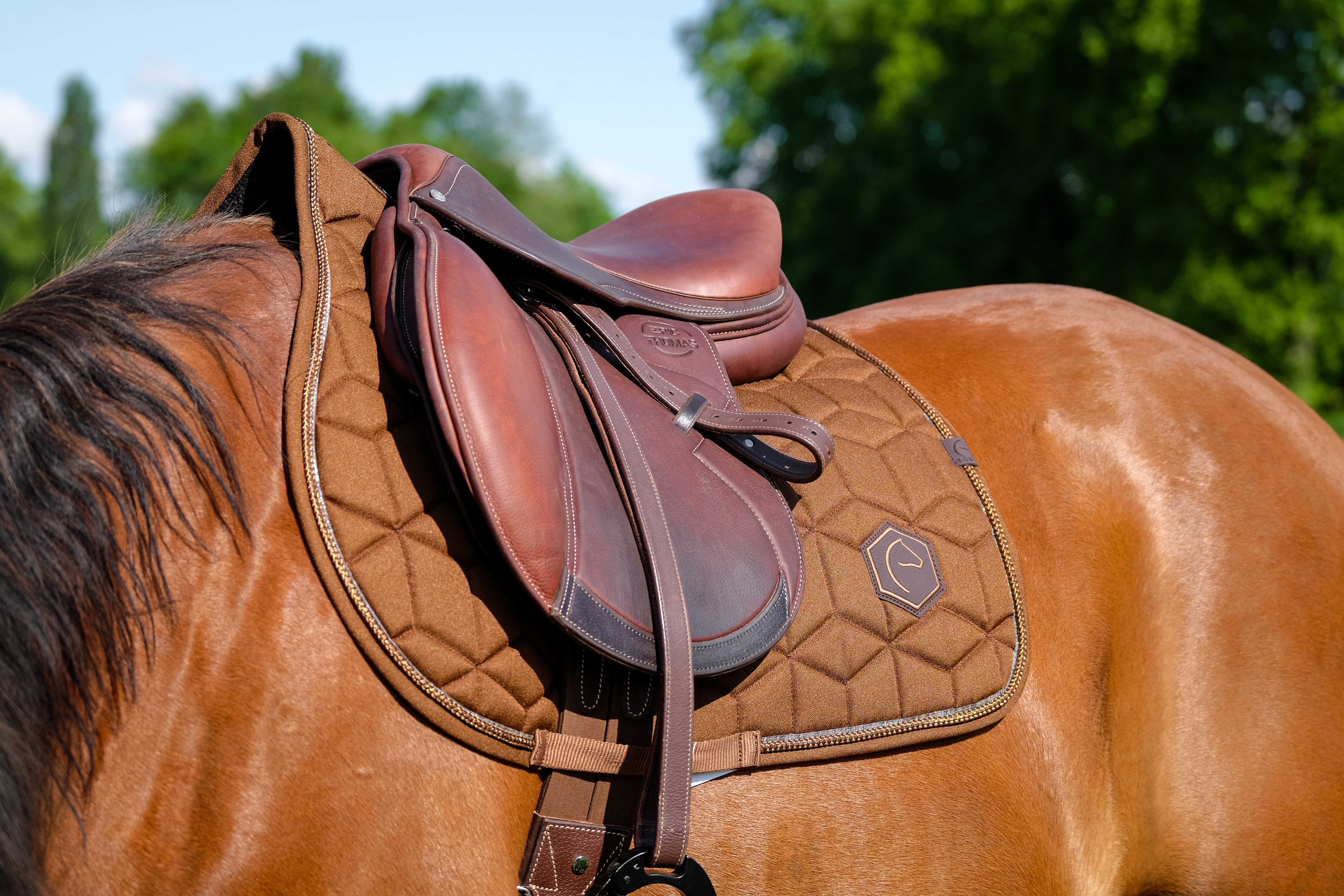 Tapis de selle EQUITHÈME - Hexalight