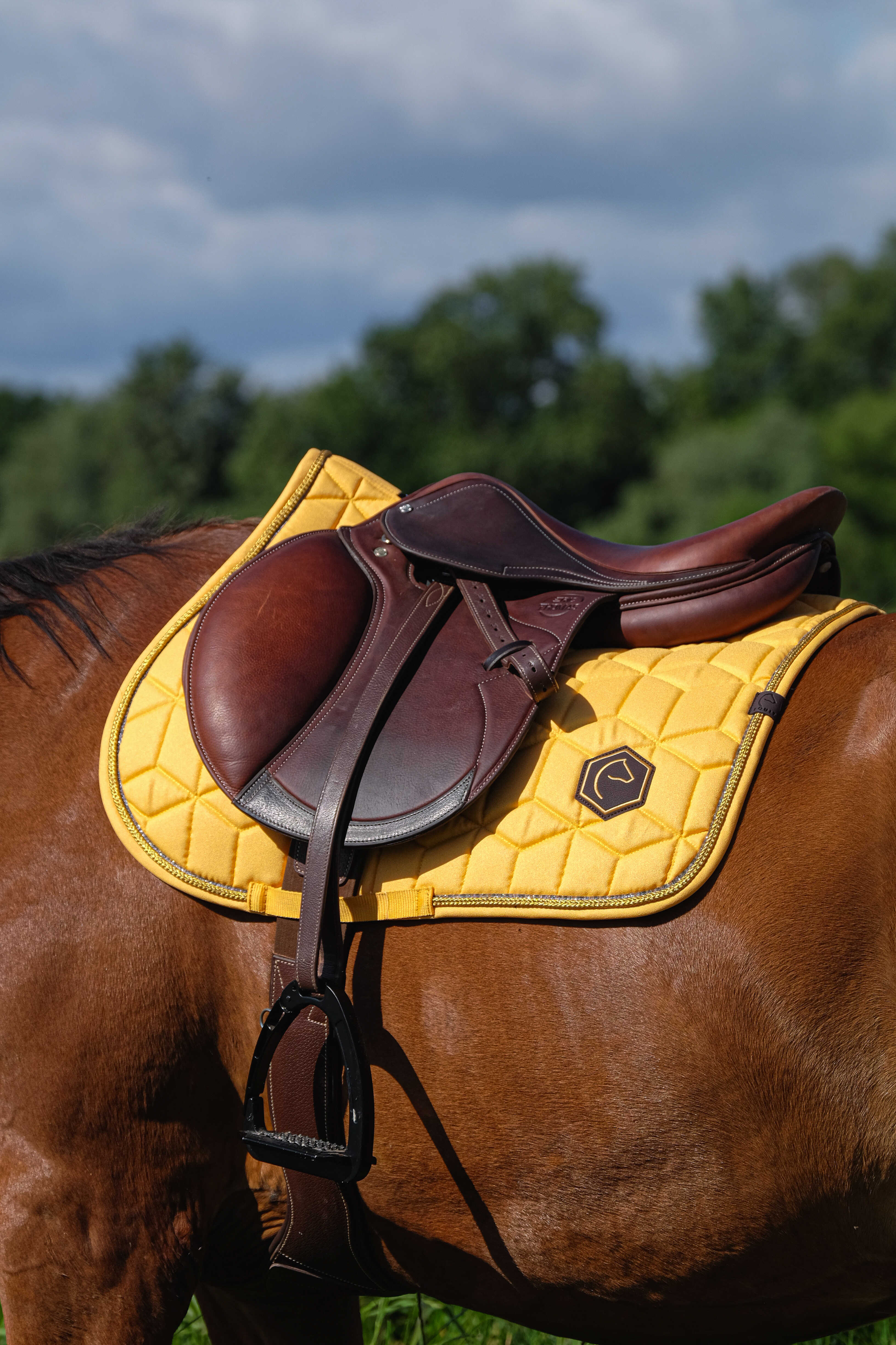 Tapis de selle EQUITHÈME - Hexalight
