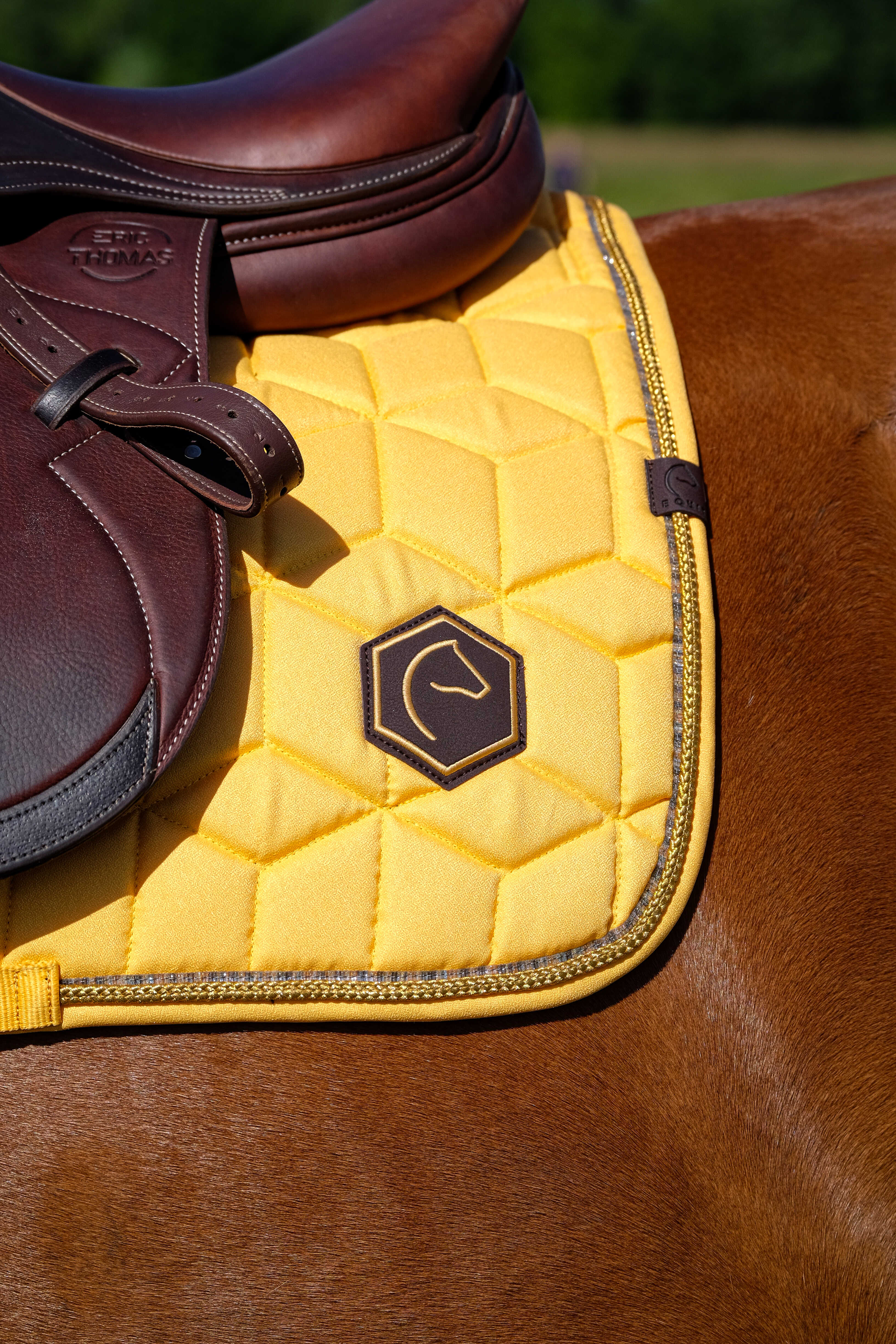 Tapis de selle EQUITHÈME - Hexalight