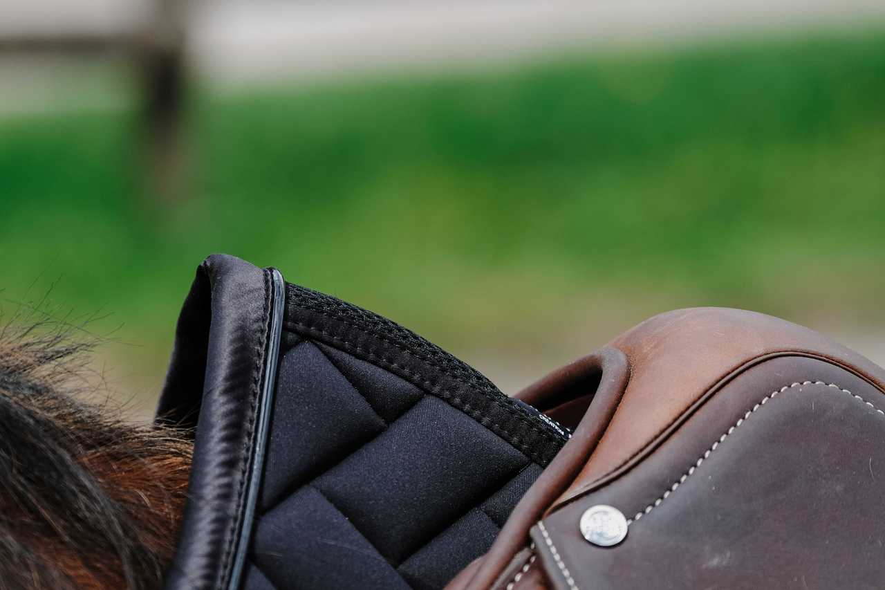 Tapis de selle EQUITHÈME - Impulsion