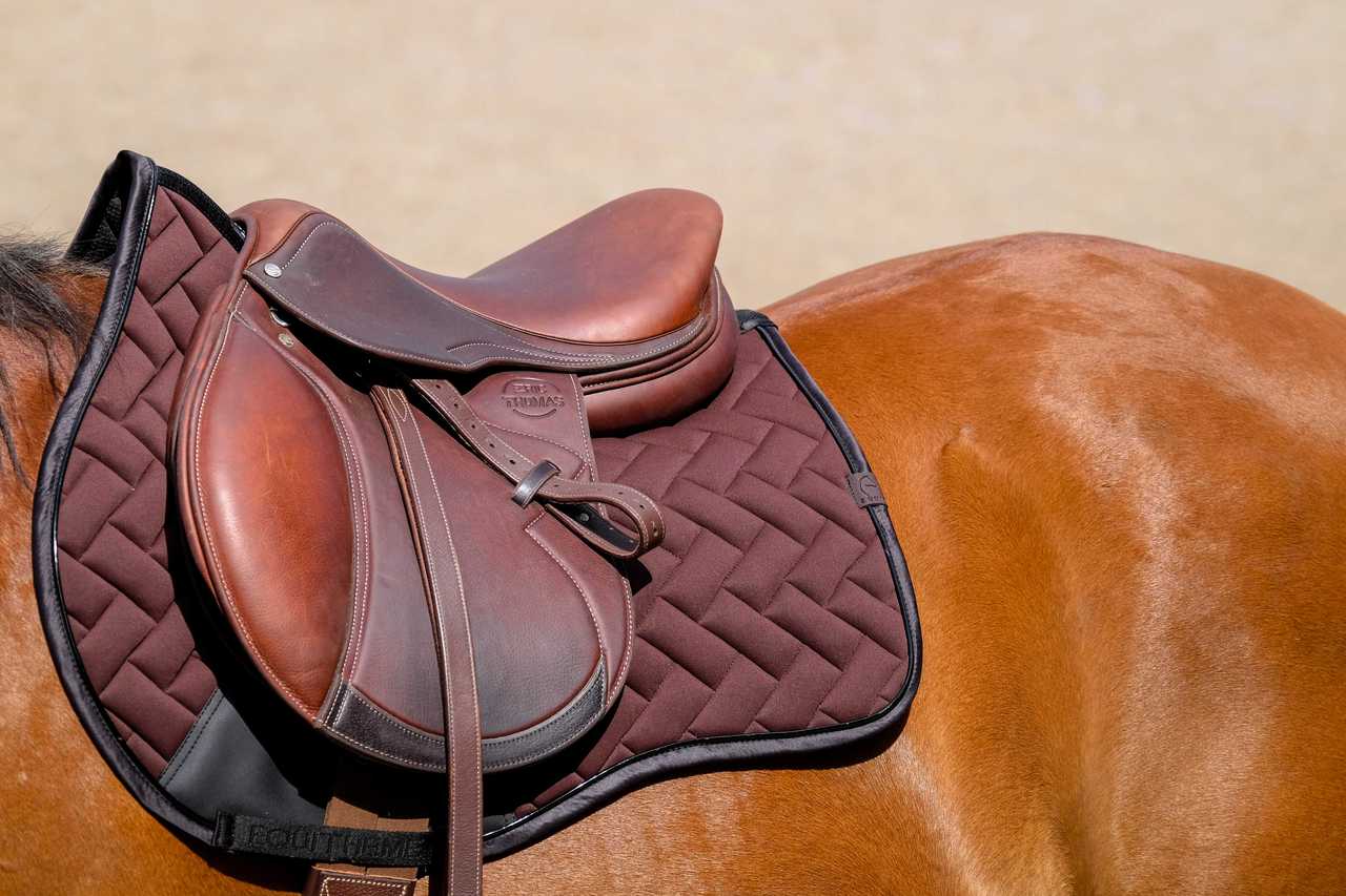 Tapis de selle EQUITHÈME - Impulsion