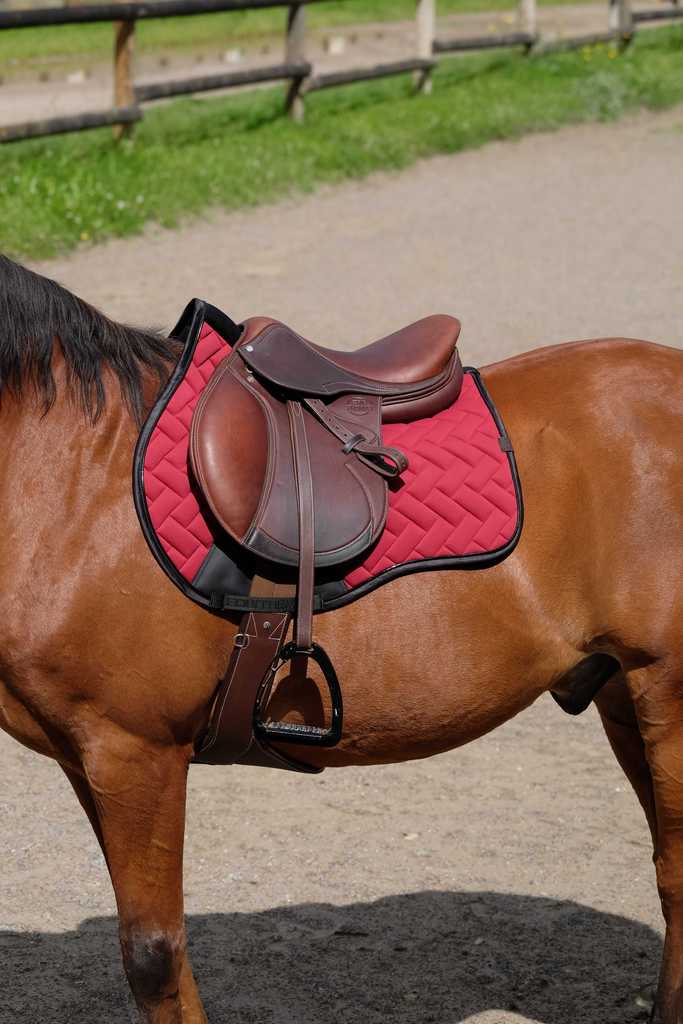 Tapis de selle EQUITHÈME - Impulsion