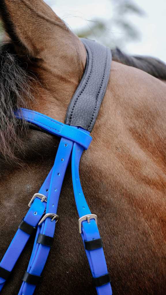 Bridon endurance NORTON - Pop