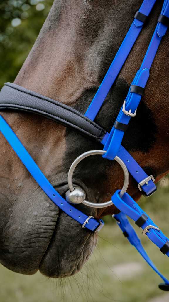 Bridon endurance NORTON - Pop