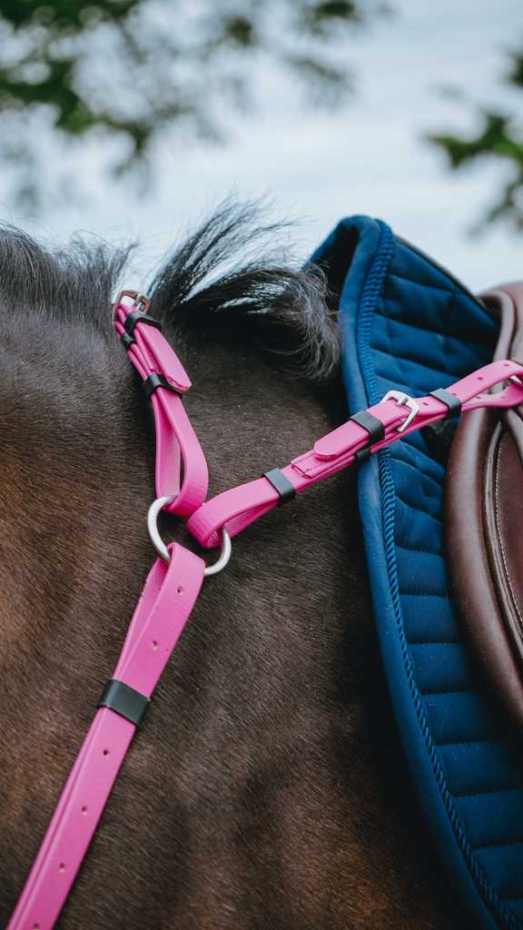 Collier de chasse Endurance NORTON - Pop