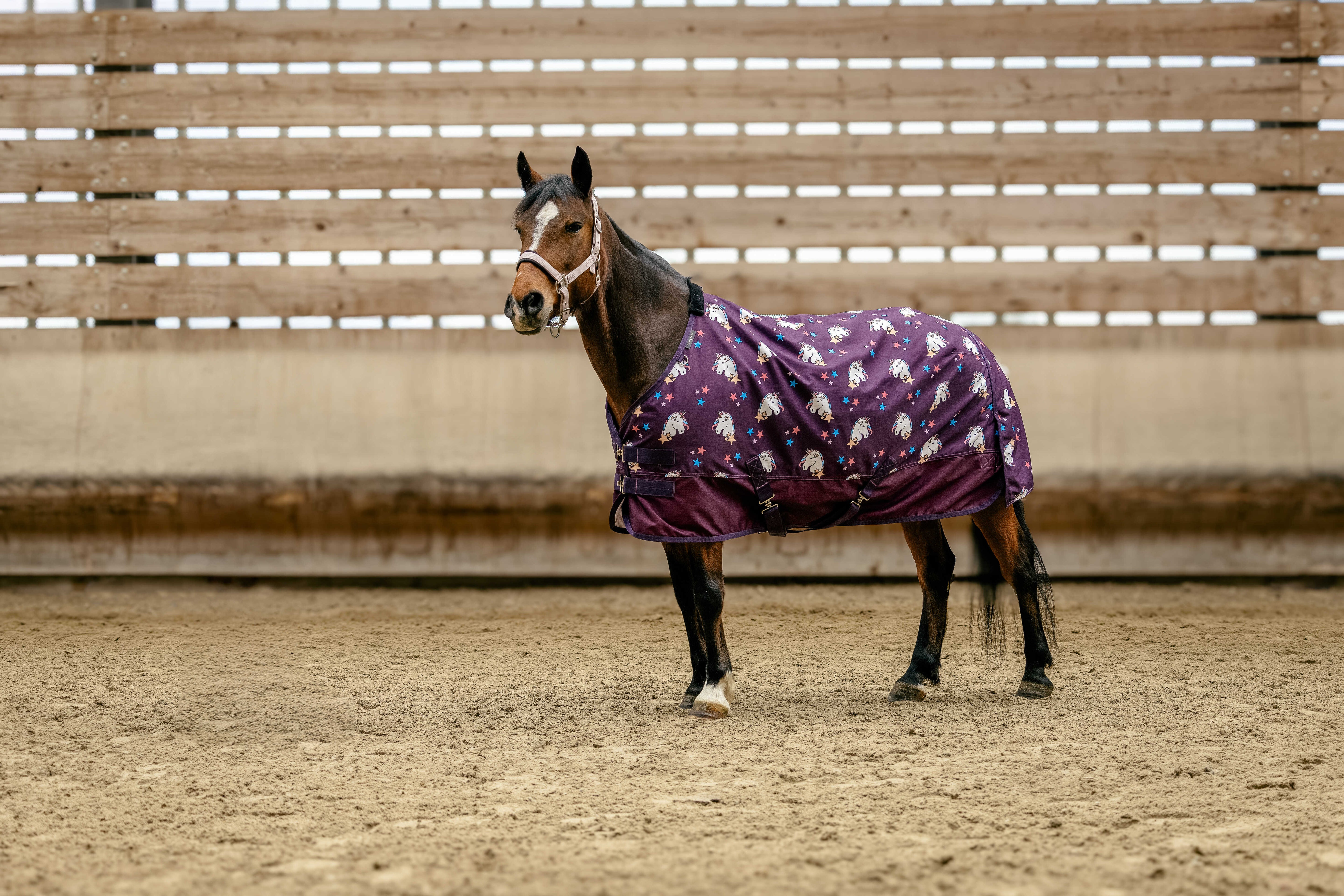 Couverture Poney EQUITHÈME - Licorne 600D