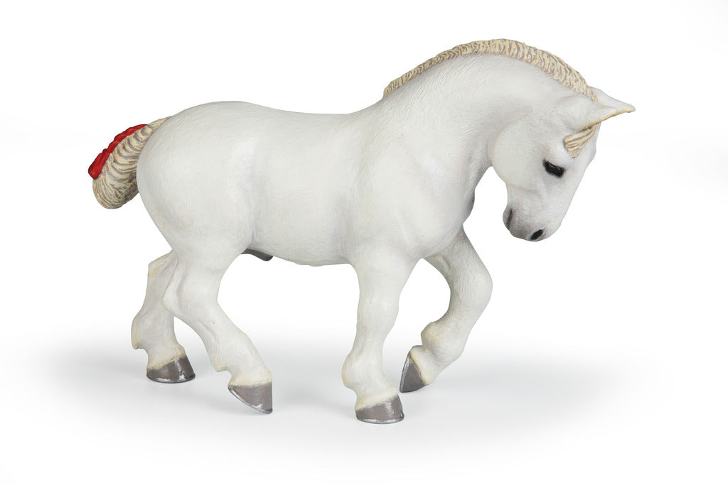 White Percheron 