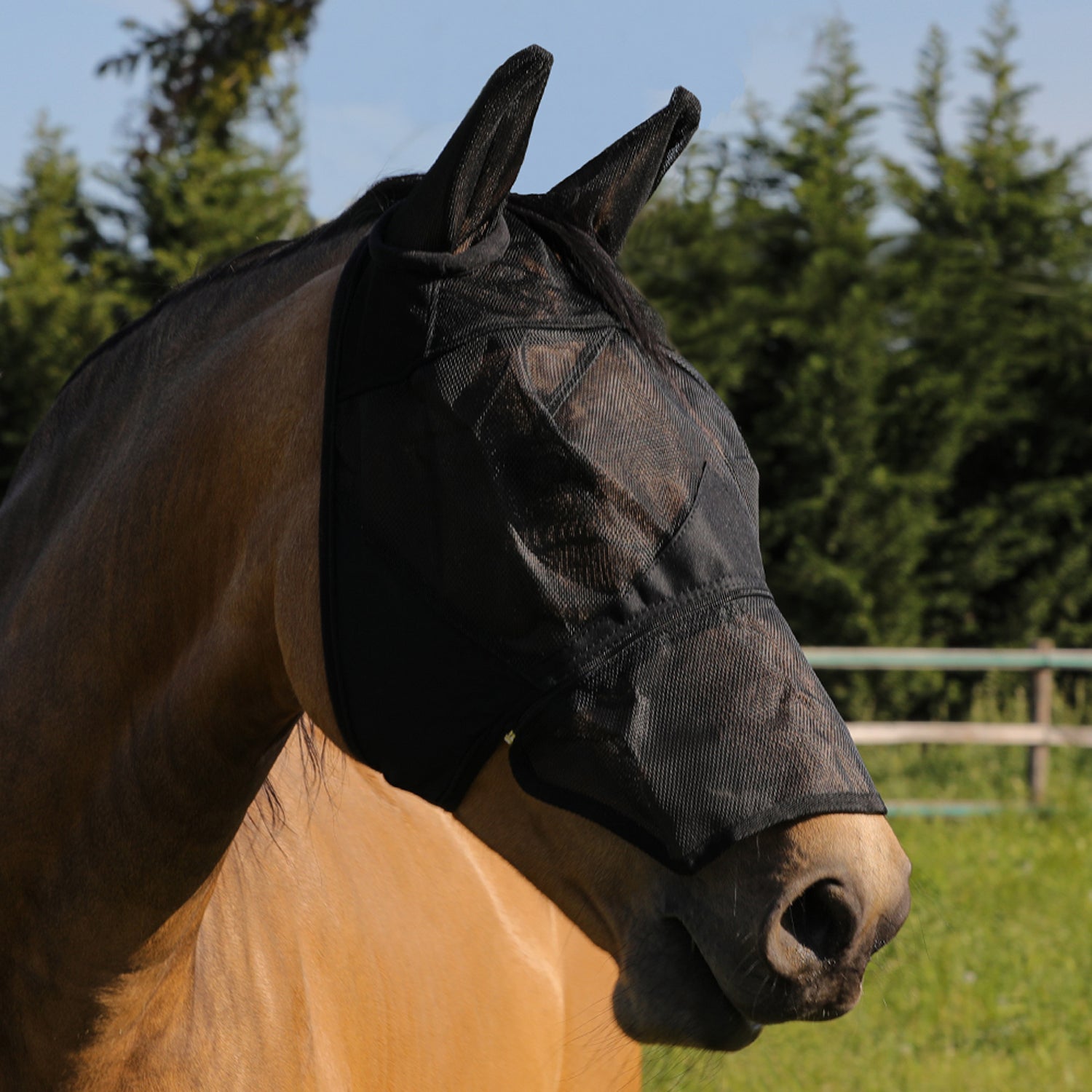  Masque anti-mouches en PVC avec protège-oreilles et fermeture zippée