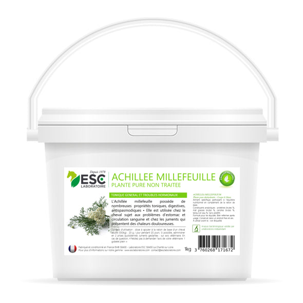 Achillée Millefeuille - Troubles hormonaux et confort digestif cheval – Plante pure